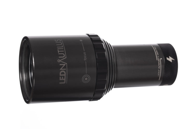 Ammonite LED NAUTILUS