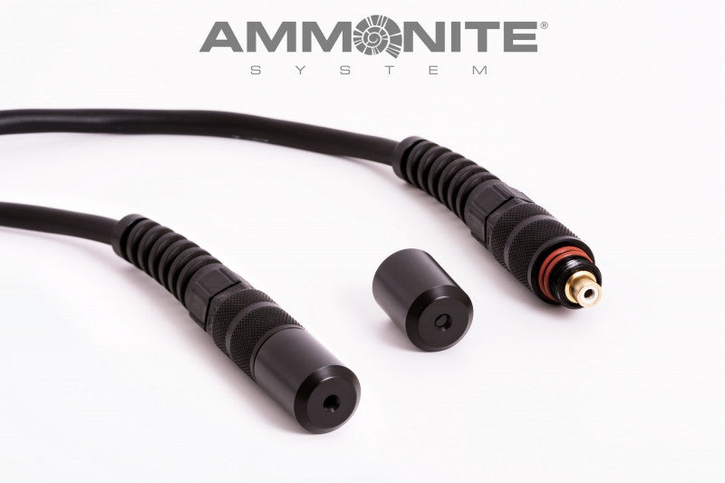 Ammonite Beschermkapje (Stekker)